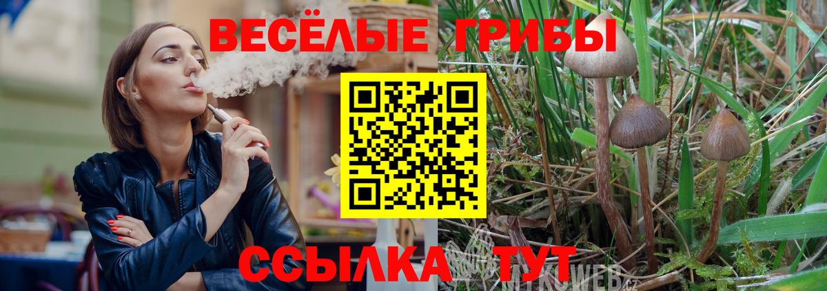 Гусь-Хрустальный  Псилоцибиновые грибы мицелий  Вход с VPN 