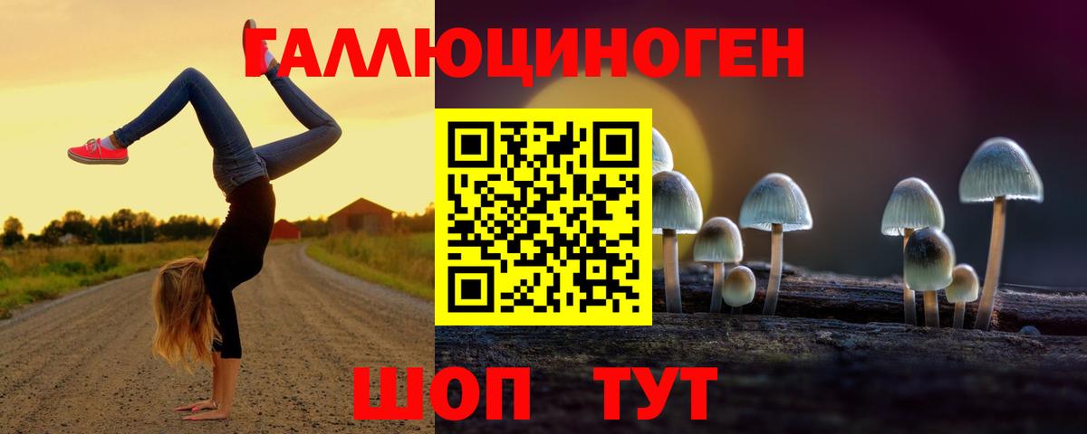 Галлюциногенные грибы мухоморы Гусь-Хрустальный